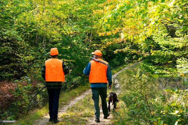img article chasseurs amance