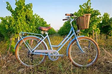 Img.velo 2